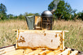 British Summer Honey - 227g/8oz
