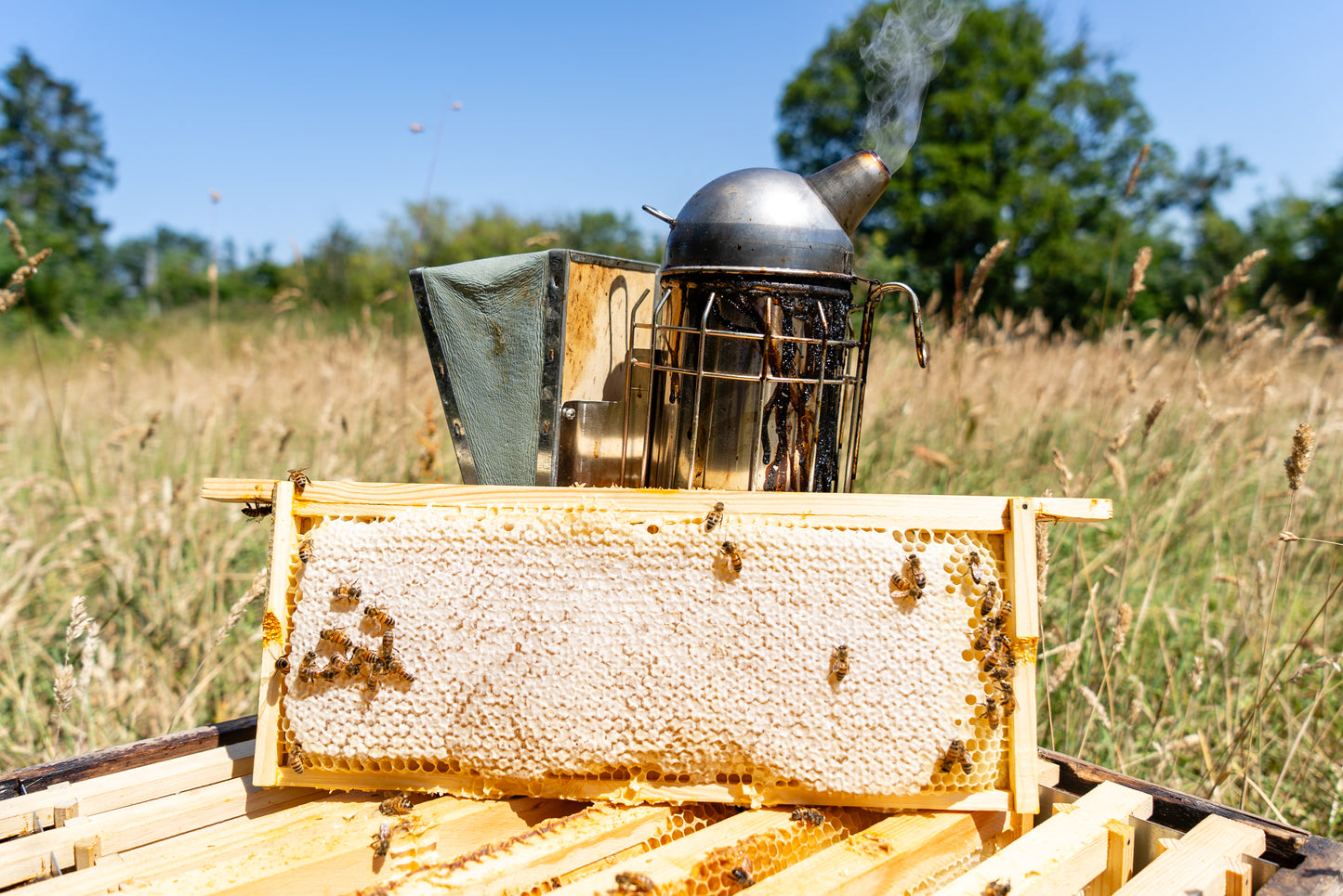 British Summer Honey - 227g/8oz