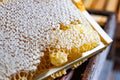 British Summer Honey - 227g/8oz